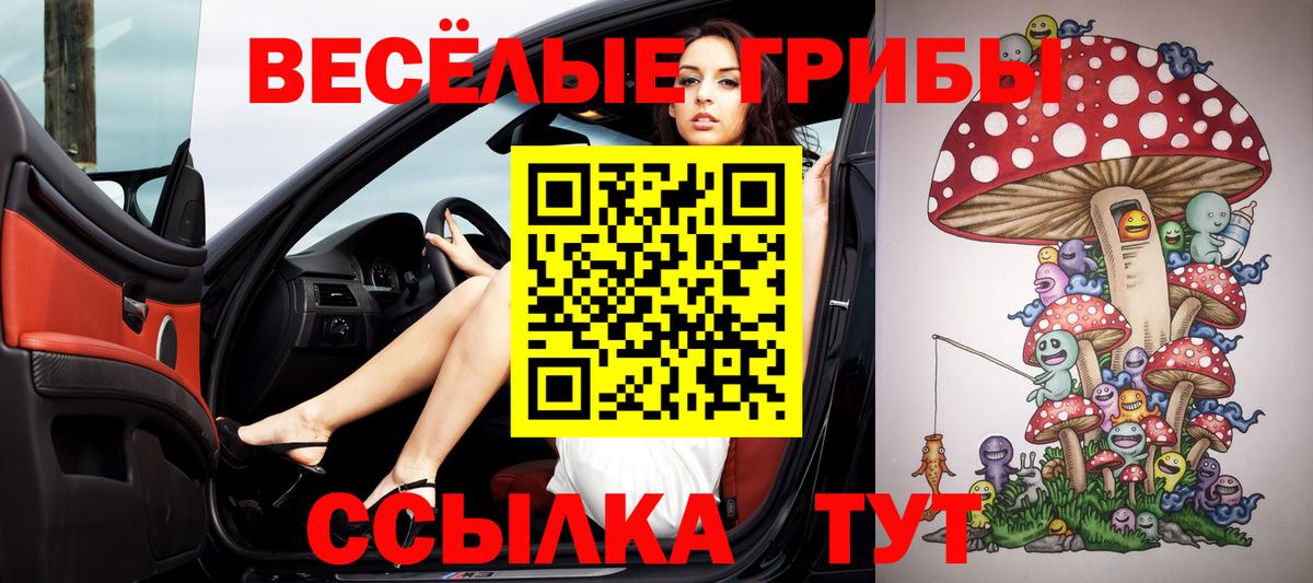 Дальнереченск  Галлюциногенные грибы мицелий  Псилоцибиновые грибы MAGIC MUSHROOMS  Вход с VPN 