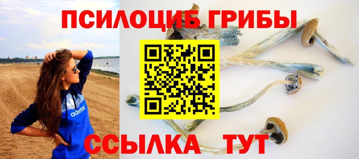 Псилоцибиновые грибы прущие грибы Дальнереченск